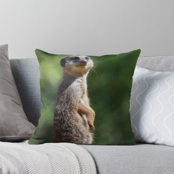 Item preview, Meerkat Moment designed and sold by Danny5.