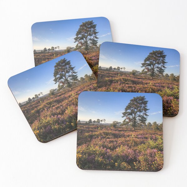 Item preview, Evening Light on Woodbury Common designed and sold by bitm2007.