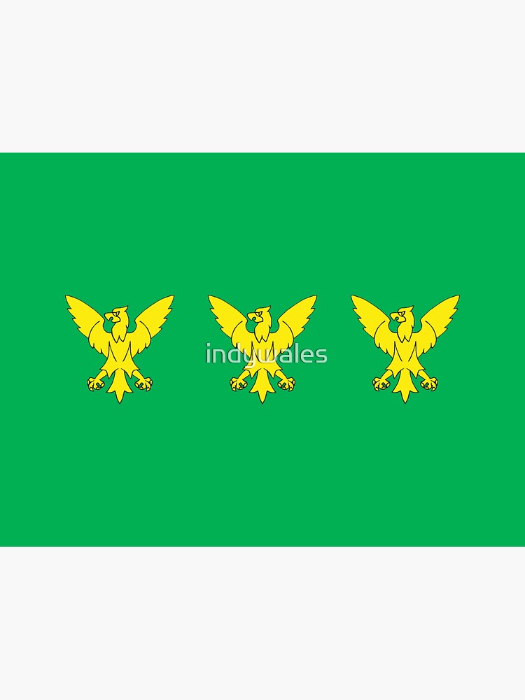 Baner Sir Gaernarfon, Caernarfonshire Flag by indywales