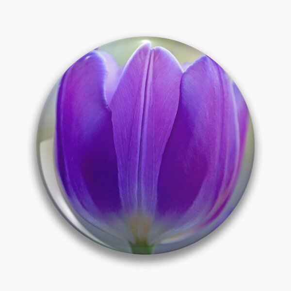 Item preview, Tulip Time... designed and sold by Danny5.