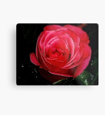 Single ! Metal Print