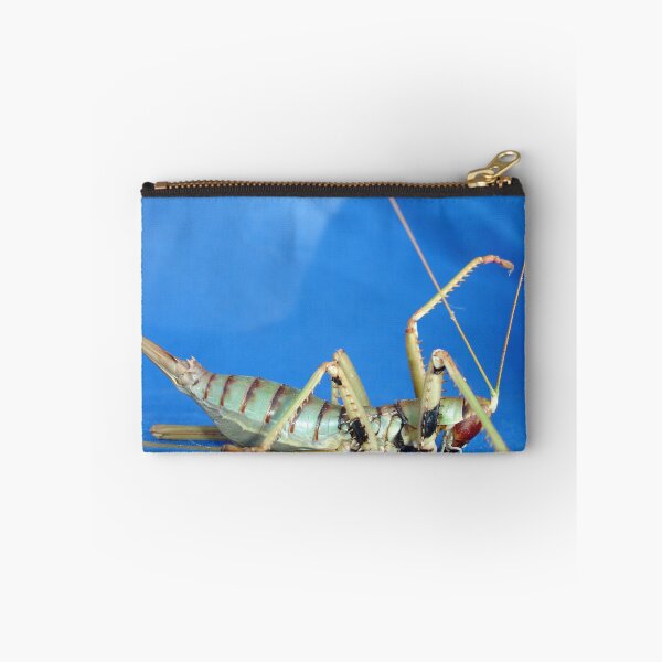 Item preview, Side View Of Large Katydid designed and sold by taiche.