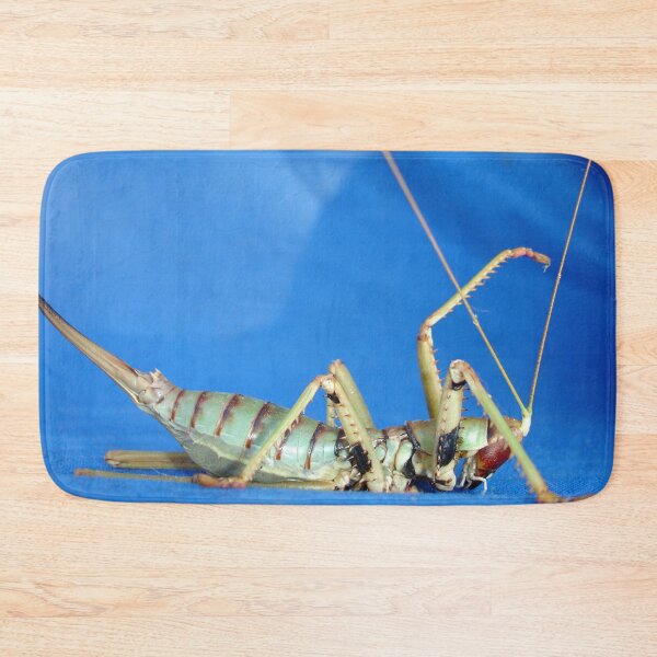 Item preview, Side View Of Large Katydid designed and sold by taiche.