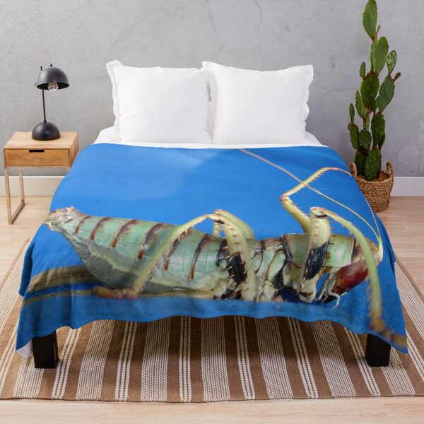 Item preview, Side View Of Large Katydid designed and sold by taiche.