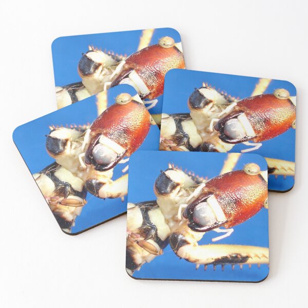 Item preview, Katydid Bush Cricket Macro Against Blue  designed and sold by taiche.