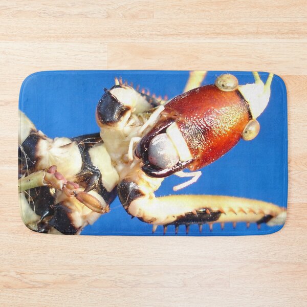 Item preview, Katydid Bush Cricket Macro Against Blue  designed and sold by taiche.