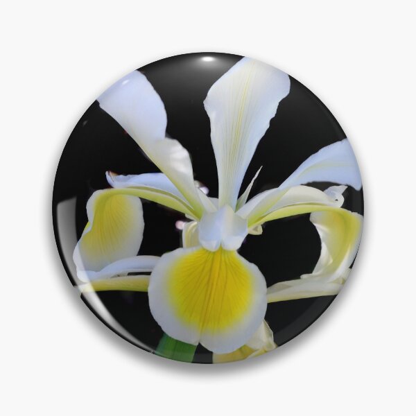 Item preview, Yellow and white Iris designed and sold by Danny5.