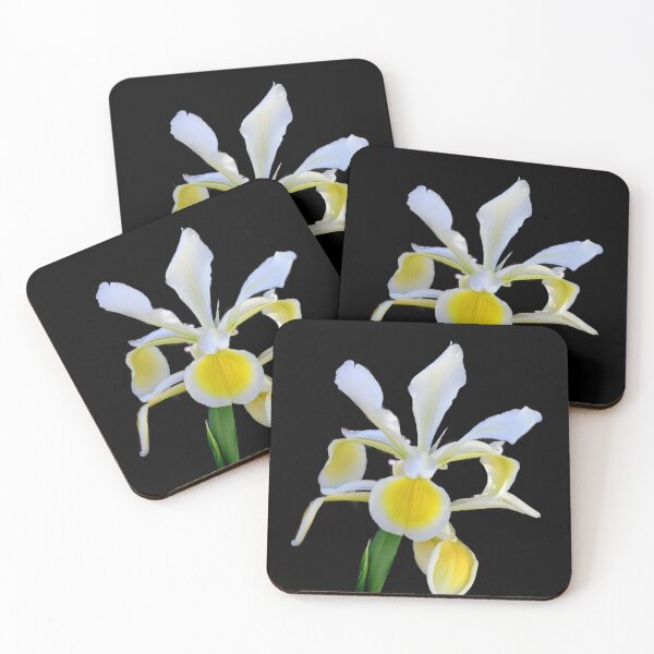 Item preview, Yellow and white Iris designed and sold by Danny5.