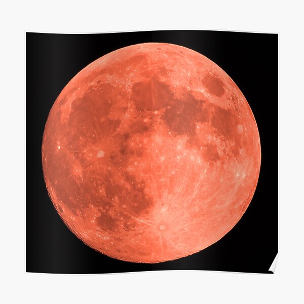 Blood Moon In Lock Down 06/06/20 09:02 Poster