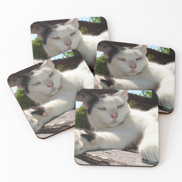 Item preview, Black and White Bicolor Cat Lounging on A Park Bench designed and sold by taiche.