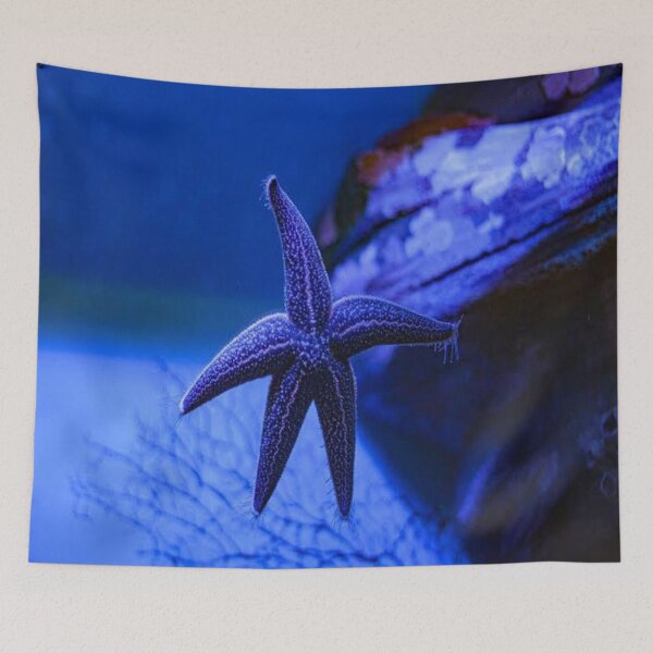 Item preview, Starfish designed and sold by saratounsi.