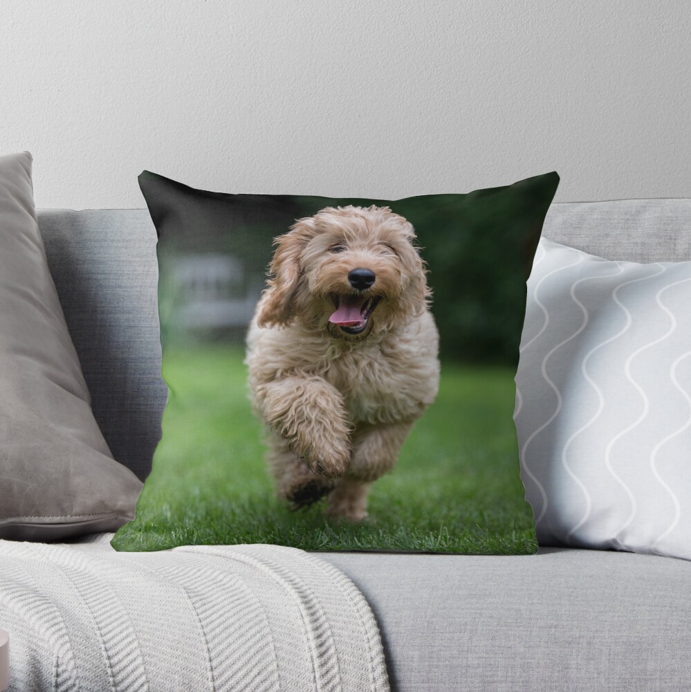 cockapoo pillow