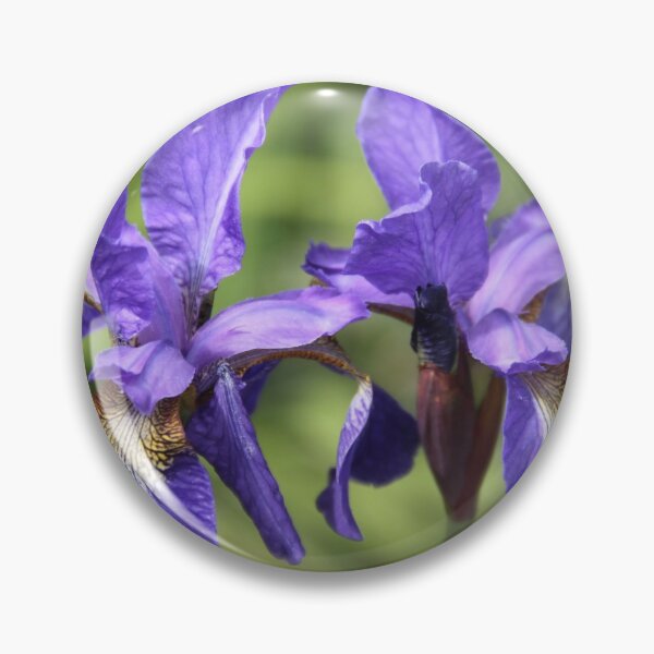 Item preview, Iris versicolor blue spring flower	 designed and sold by EstelleRossetti.
