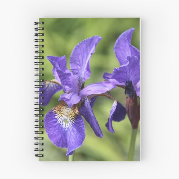 Item preview, Iris versicolor blue spring flower	 designed and sold by EstelleRossetti.
