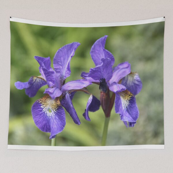 Item preview, Iris versicolor blue spring flower	 designed and sold by EstelleRossetti.