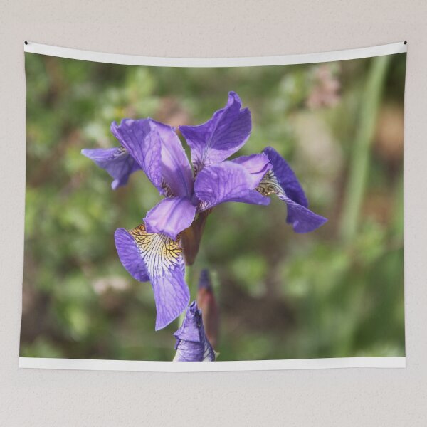 Item preview, Iris versicolor blue spring flower	 designed and sold by EstelleRossetti.