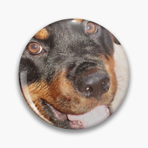 Item preview, Portrait Of A Gentle Faced Female Rottweiler  designed and sold by taiche.
