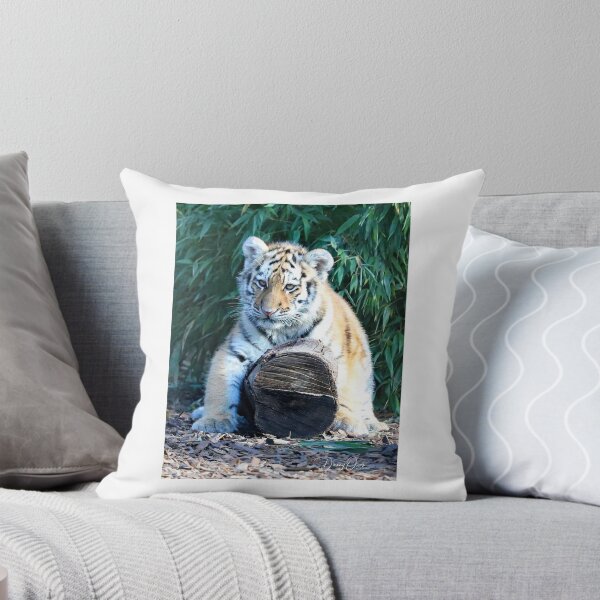 Item preview, Tiger Cub Poser designed and sold by Danny5.