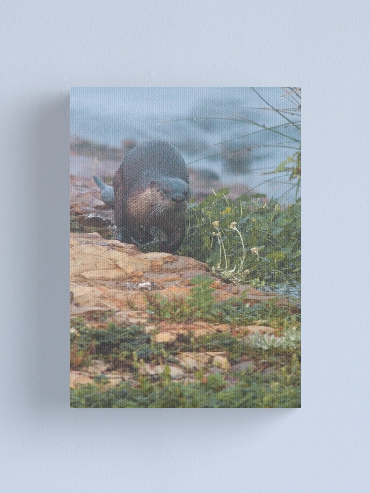 Alternate view of Running for cover Canvas Print