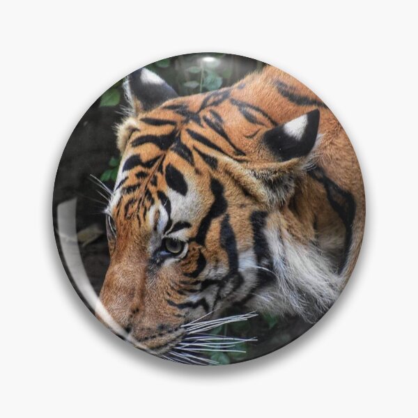 Item preview, CREATIVITYLOVE CLASSIC CHEETAH  PATTERNS designed and sold by VividThreadsDesignStudio.