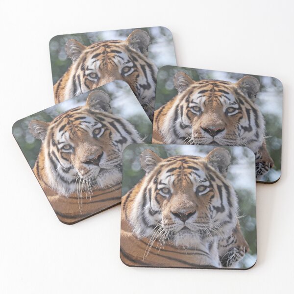 Item preview, Tiger Time designed and sold by Danny5.