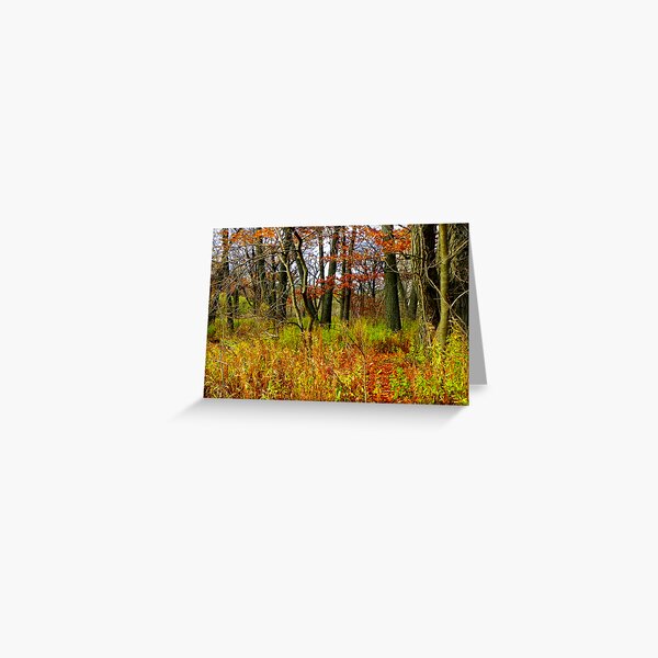 The Woods © Greeting Card