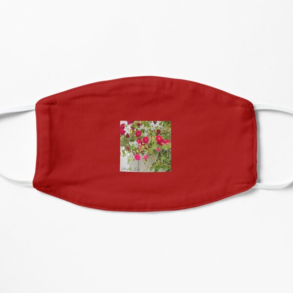 The Provence Mask