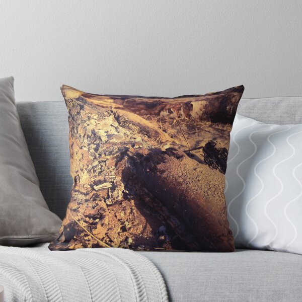 Item preview, Beachside Fire Remains designed and sold by Jessie Williams.