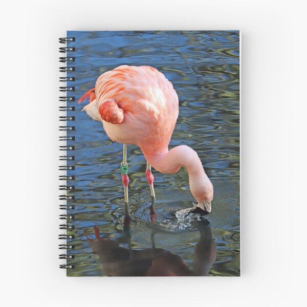 Item preview, Flamingo bather designed and sold by Danny5.