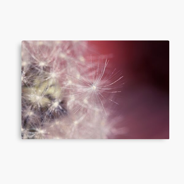 Item preview, Fragility designed and sold by iltby.