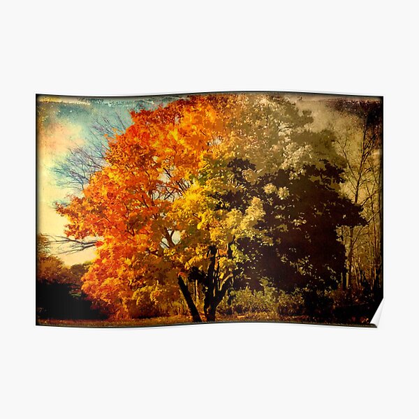 Autumn colors fade away © Poster