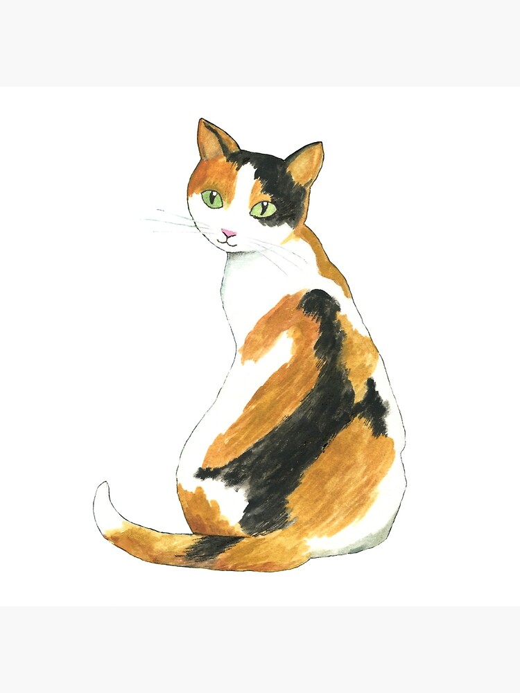 Cat Art - Cute Cat Print - Calico Cat Print - Cute Art Print - Cat lover -  Calico cat - Cat Illustration - Nursery Art