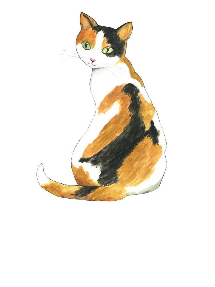 easy calico cat drawing