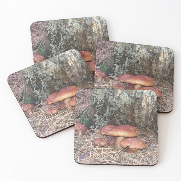 Item preview, Mushrooms designed and sold by Sternchen2789.