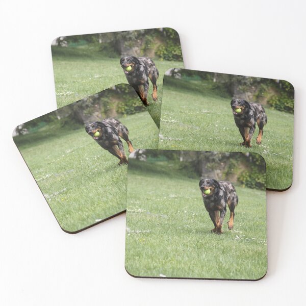 Item preview, Sheepdogs domestic garden puppy playing together	 designed and sold by EstelleRossetti.