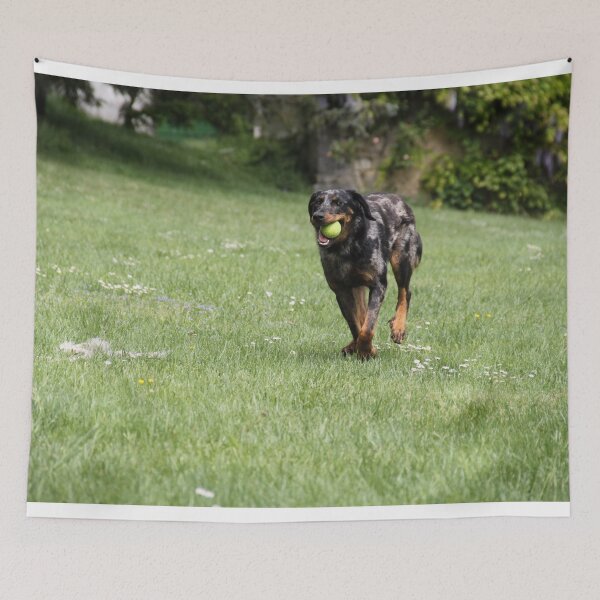 Item preview, Sheepdogs domestic garden puppy playing together	 designed and sold by EstelleRossetti.