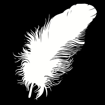Artwork thumbnail, Feather by Ranith  Chatterjee