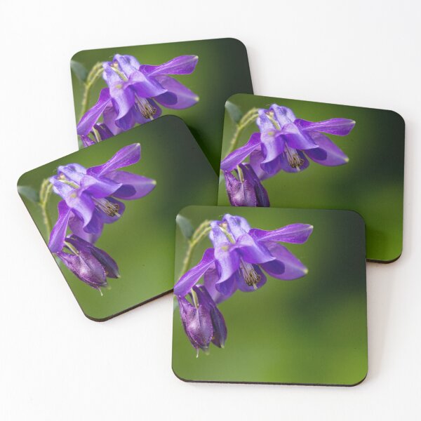 Item preview, purple columbine macro in the local woods designed and sold by DelvesPhoto.