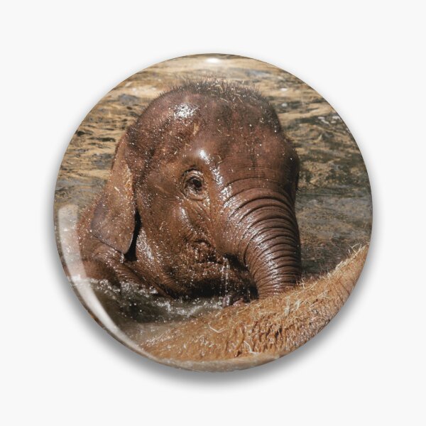 Item preview, Elephant siblings having fun in the pool designed and sold by DelvesPhoto.