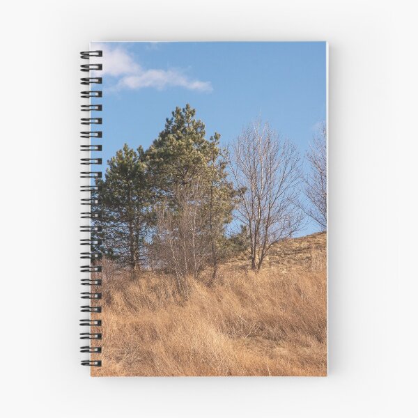 Item preview, Bare Trees and Brush designed and sold by Ruth Curtis.