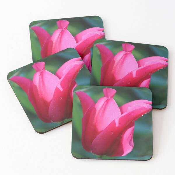 Item preview, Tulip Bubble designed and sold by Danny5.