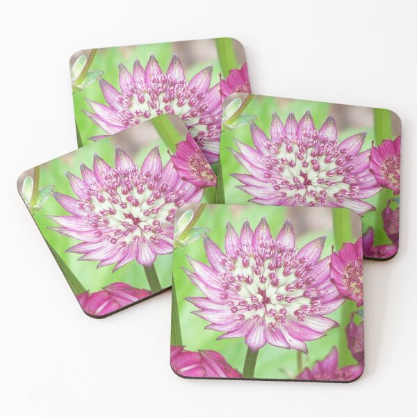 Item preview, Red flower in spring designed and sold by Boscastle.