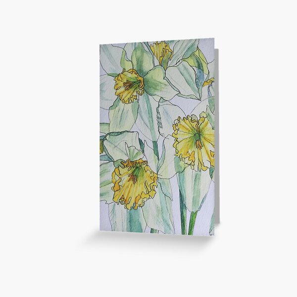 How to paint a daffodil ( or yellows are very tricky) – watercolours by  rachel