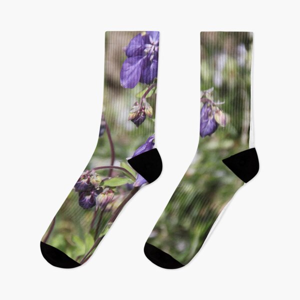 Item preview, Colorful pastel columbine granny's bonnet spring wildflowers	 designed and sold by EstelleRossetti.