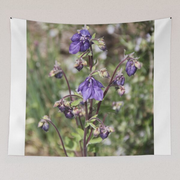 Item preview, Colorful pastel columbine granny's bonnet spring wildflowers	 designed and sold by EstelleRossetti.