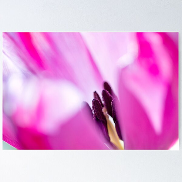Item preview, Little Details designed and sold by iltby.