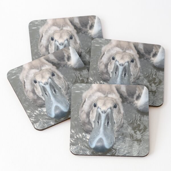 Item preview, Spring cygnet designed and sold by Narrowboatgirl.