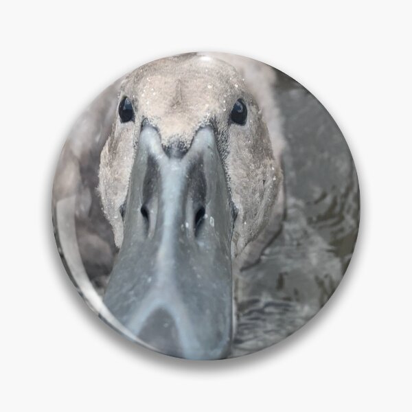 Item preview, Spring cygnet designed and sold by Narrowboatgirl.