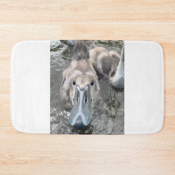 Item preview, Spring cygnet designed and sold by Narrowboatgirl.