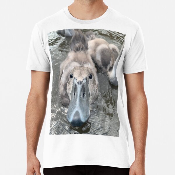 Spring cygnet Premium T-Shirt